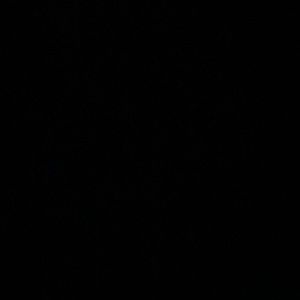 Meet your Posher, Harold